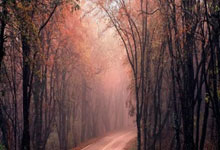 摩纳哥主场迎战南特全取三分