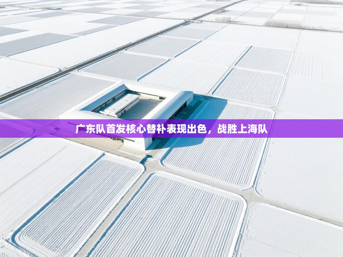 广东队首发核心替补表现出色,战胜上海队 第2张