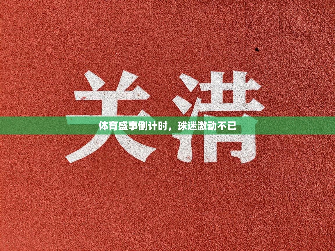 体育盛事倒计时，球迷激动不已  第2张